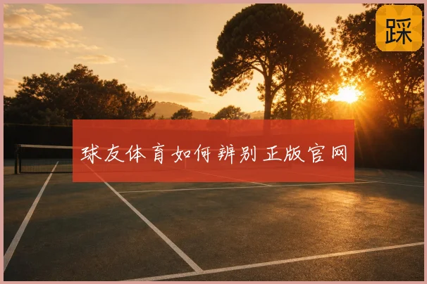 球友体育如何辨别正版官网